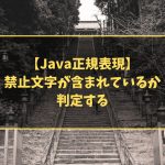 【Java正規表現】 禁止文字が含まれているか 判定する