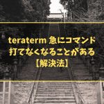 teraterm 急にコマンド打てなくなることがある【解決法】