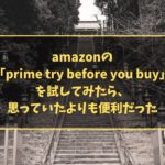 amazonの「prime try before you buy」を試してみたら、思っていたよりも便利だった