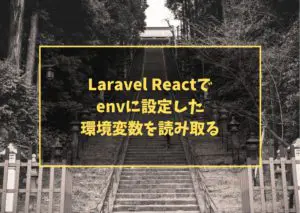 Laravel Reactでenvに設定した環境変数を読み取る