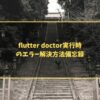 flutter doctor実行時のエラー解決方法備忘録